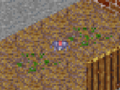 Thumbnail for version as of 07:27, 12 October 2021