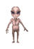 Reticulan Peon