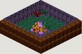 Thumbnail for version as of 10:23, 3 April 2006