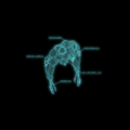 Thumbnail for version as of 00:26, 10 October 2013