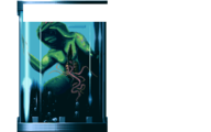 UP009.BDY - Gillman autopsy