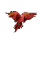 Parrot