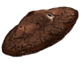 Thumbnail for version as of 12:25, 1 July 2020