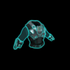 Carapace Armor