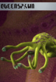 Thumbnail for version as of 09:18, 17 October 2023