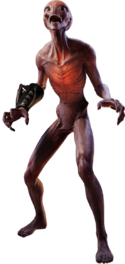 Sectoid