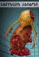 Thumbnail for version as of 04:55, 14 October 2023