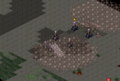 Thumbnail for version as of 14:55, 31 May 2022