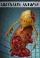 Thumbnail for version as of 22:44, 8 October 2023