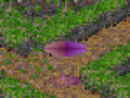 Thumbnail for version as of 07:27, 12 October 2021