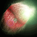 Thumbnail for version as of 16:20, 6 October 2012