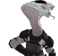 Agent Torque