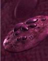 Thumbnail for version as of 21:11, 20 December 2009