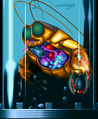 Thumbnail for version as of 21:38, 10 May 2006