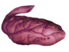 Multiworm Egg UFOPedia picture - OpenApoc cut