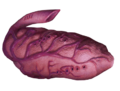 Thumbnail for version as of 10:19, 1 July 2020