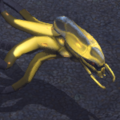 Thumbnail for version as of 02:47, 2 March 2023