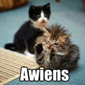 Awiens.png