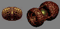 Thumbnail for version as of 07:37, 15 August 2022