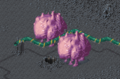 Thumbnail for version as of 18:29, 9 October 2022