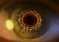 Thumbnail for version as of 14:46, 16 November 2013