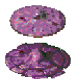 Thumbnail for version as of 01:41, 5 November 2023