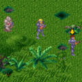 Thumbnail for version as of 11:33, 20 December 2005