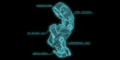 Thumbnail for version as of 22:38, 16 November 2013