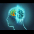 Thumbnail for version as of 14:43, 16 November 2013