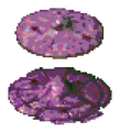 Thumbnail for version as of 01:42, 5 November 2023