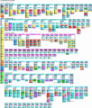 Thumbnail for version as of 16:19, 28 February 2021