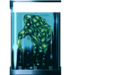 Thumbnail for version as of 01:53, 20 October 2010