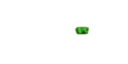 Laser Sight