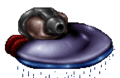 Thumbnail for version as of 22:18, 7 April 2016