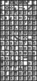Thumbnail for version as of 11:17, 9 June 2007