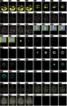 Thumbnail for version as of 23:17, 17 March 2009