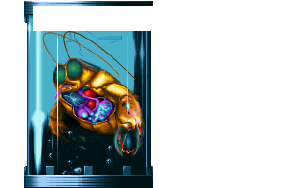 UP011 (TFTD).png