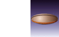 Thumbnail for version as of 12:12, 12 February 2009