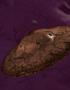 Alien Destroyer UFOPedia picture
