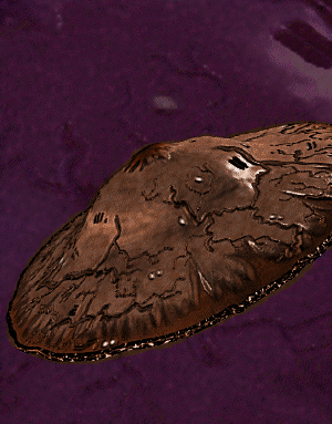 Apoc destroyer pedia.png