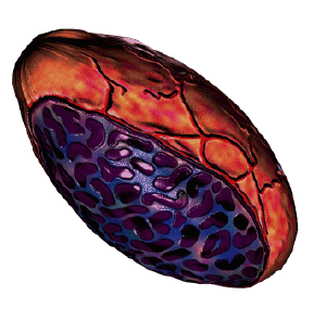 Ufo1-Alien-Probe.png