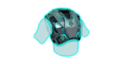 Banshee Armor
