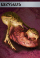 Thumbnail for version as of 04:46, 14 October 2023
