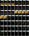 Thumbnail for version as of 23:19, 17 March 2009