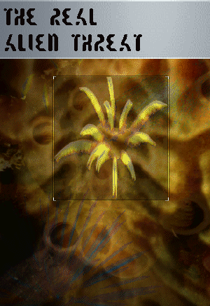 Research-Pedia-RealThreat-(Apocalypse).png