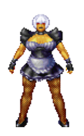 Maid Outfit