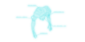 Thumbnail for version as of 11:48, 11 November 2014