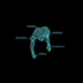 Thumbnail for version as of 00:25, 10 October 2013