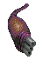 Thumbnail for version as of 08:25, 30 October 2023