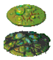 Thumbnail for version as of 11:34, 10 November 2023